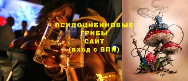СК Россошь