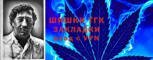 СК Россошь