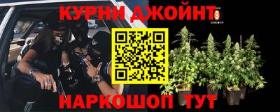 скорость Гатчина