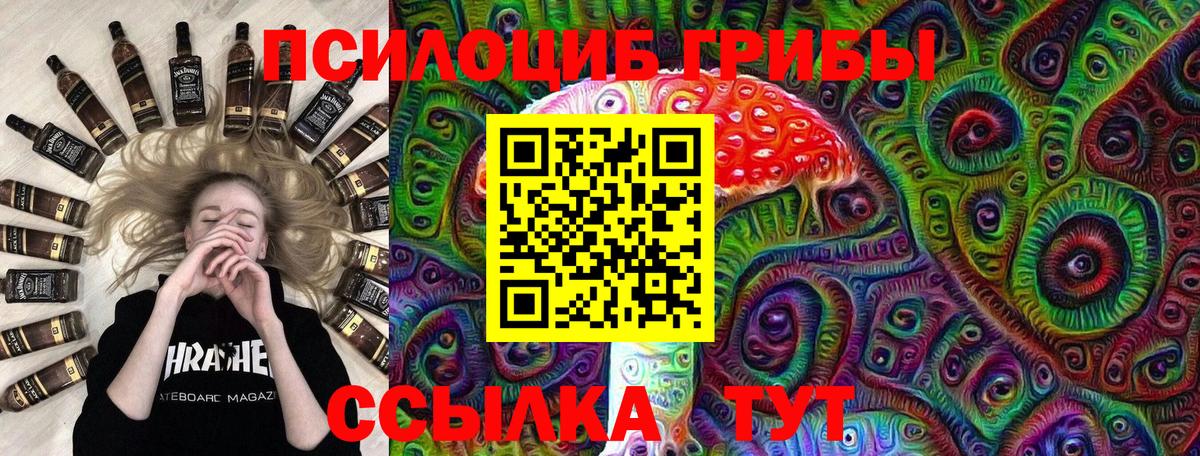 Псилоцибиновые грибы Psilocybe  Бор 