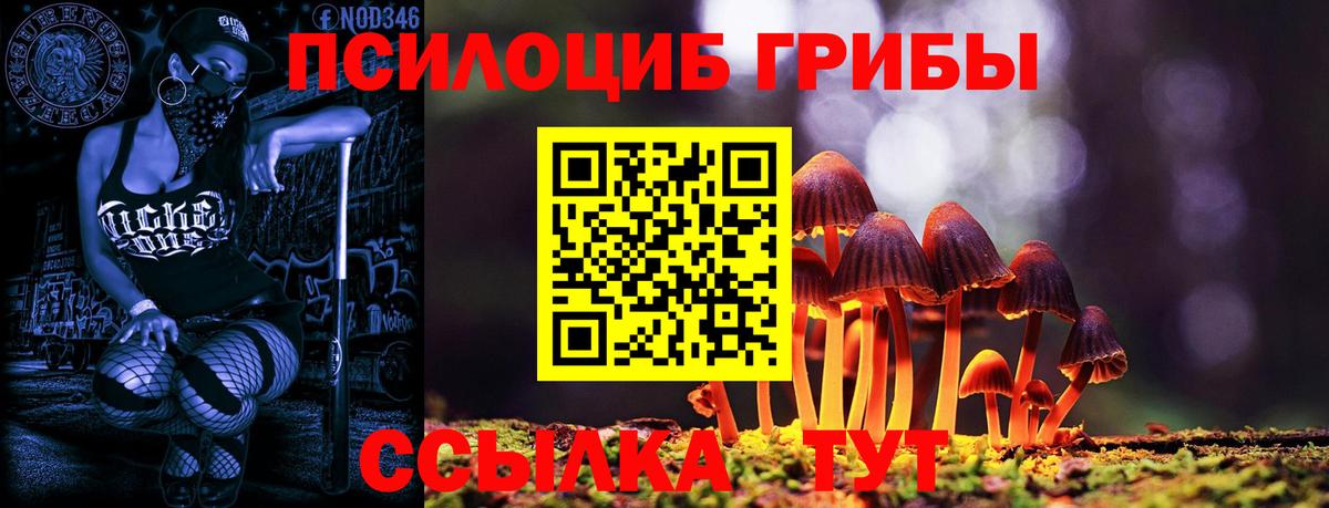 Галлюциногенные грибы Magic Shrooms  Вход с VPN  Бор  сколько стоит  Псилоцибиновые грибы мухоморы 