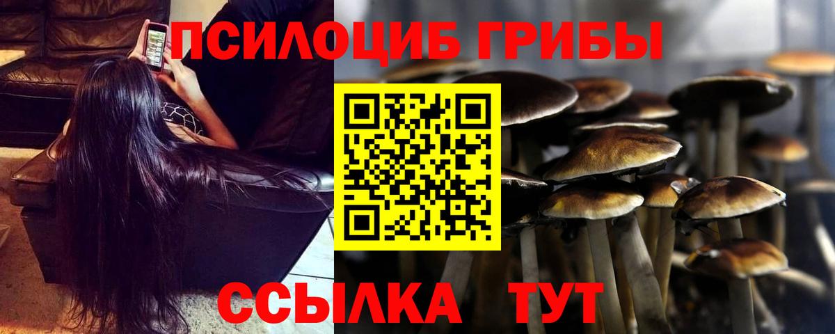 Псилоцибиновые грибы ЛСД Бор