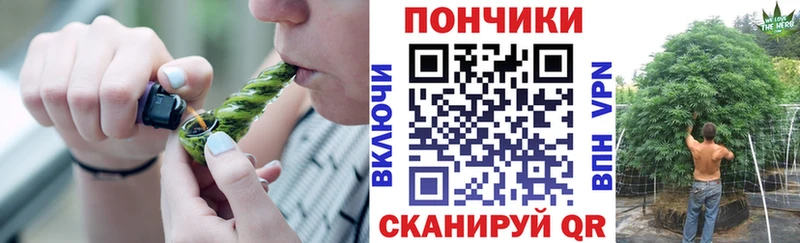 Бошки Шишки марихуана  Бор 